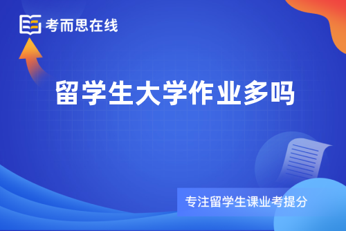 留学生大学作业多吗
