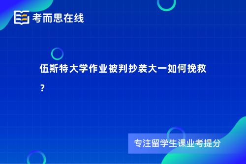 伍斯特大学作业被判抄袭大一如何挽救？