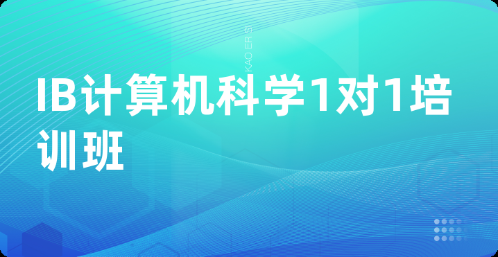 IB计算机科学1对1培训班