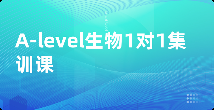 A-level生物1对1集训课