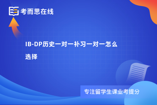 IB-DP历史一对一补习一对一怎么选择