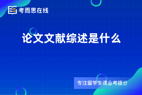 论文文献综述是什么