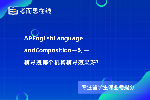 APEnglishLanguageandComposition一对一辅导班哪个机构辅导效果好?