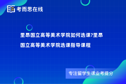 里昂国立高等美术学院如何选课?里昂国立高等美术学院选课指导课程