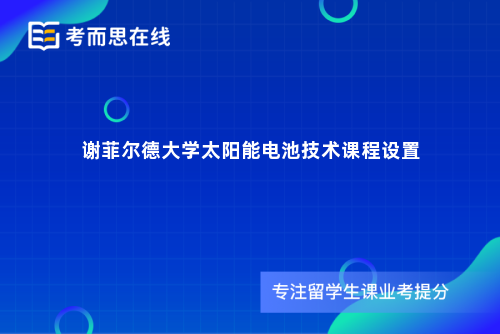 谢菲尔德大学太阳能电池技术课程设置