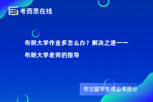 布朗大学作业多怎么办？解决之道一一布朗大学老师的指导