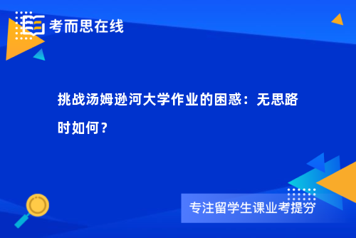 挑战汤姆逊河大学作业的困惑：无思路时如何？