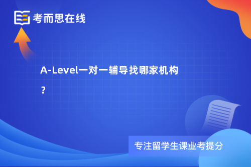A-Level一对一辅导找哪家机构？