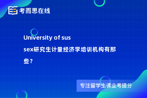 University of sussex研究生计量经济学培训机构有那些？