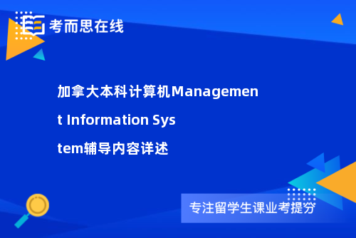 加拿大本科计算机Management Information System辅导内容详述