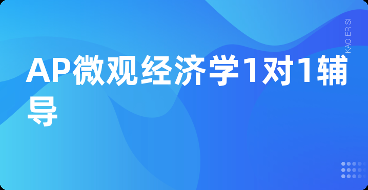AP微观经济学1对1辅导