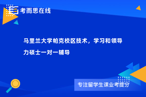 马里兰大学帕克校区技术，学习和领导力硕士一对一辅导