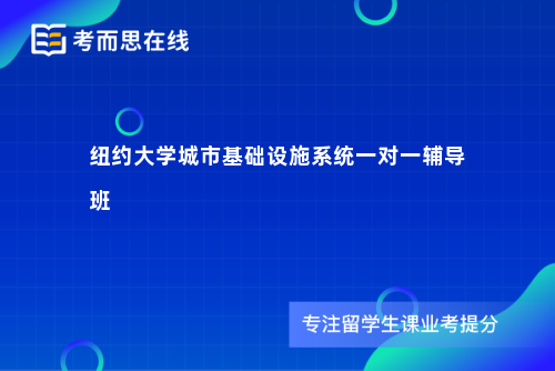 纽约大学城市基础设施系统一对一辅导班