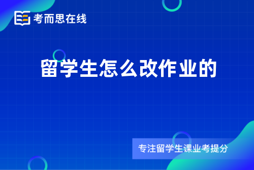 留学生怎么改作业的