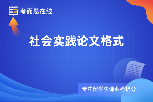 社会实践论文格式