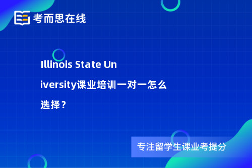 IllinoisStateUniversity课业培训一对一怎么选择？