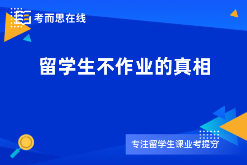 留学生不作业的真相