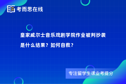 皇家威尔士音乐戏剧学院作业被判抄袭是什么结果？如何自救？