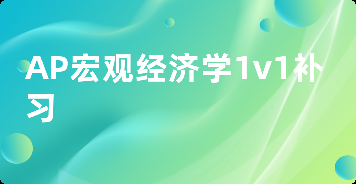 AP宏观经济学1v1补习