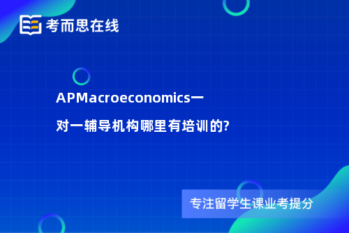 APMacroeconomics一对一辅导机构哪里有培训的?