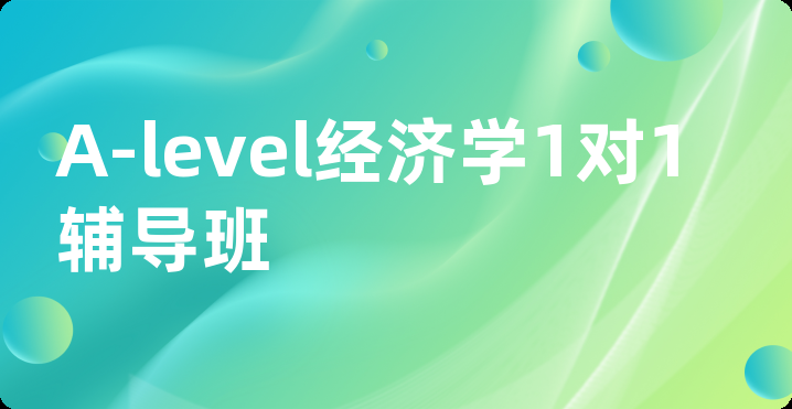 A-level经济学1对1辅导班