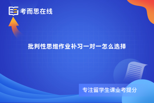 批判性思维作业补习一对一怎么选择