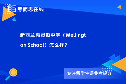 新西兰惠灵顿中学（Wellington School）怎么样？