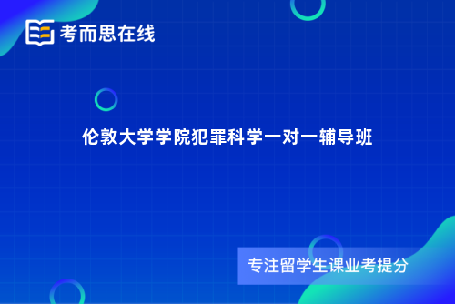 伦敦大学学院犯罪科学一对一辅导班