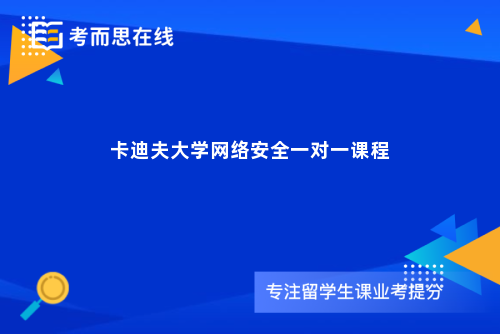 卡迪夫大学网络安全一对一课程