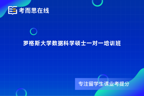 罗格斯大学数据科学硕士一对一培训班