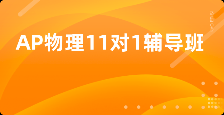 AP物理11对1辅导班