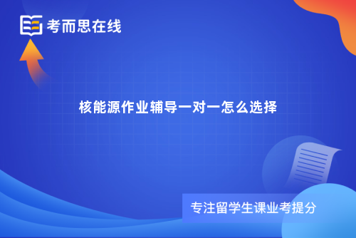 核能源作业辅导一对一怎么选择