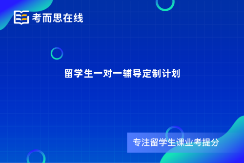 留学生一对一辅导定制计划