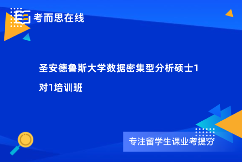 圣安德鲁斯大学数据密集型分析硕士1对1培训班
