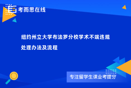 纽约州立大学布法罗分校学术不端违规处理办法及流程