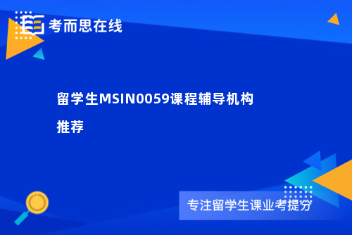 留学生MSIN0059课程辅导机构推荐