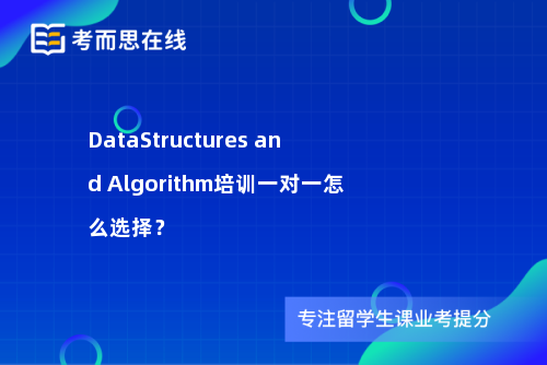 DataStructures and Algorithm培训一对一怎么选择？