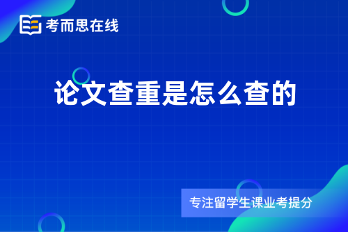 论文查重是怎么查的