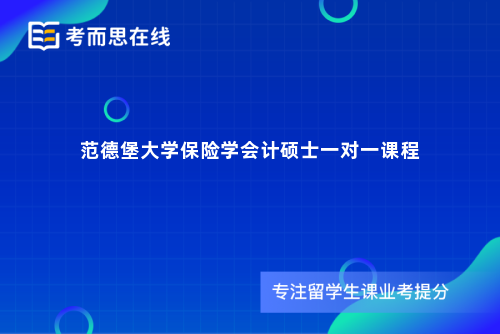 范德堡大学保险学会计硕士一对一课程