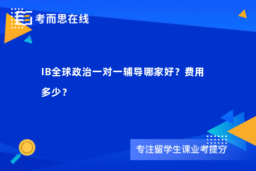 IB全球政治一对一辅导哪家好？费用多少？