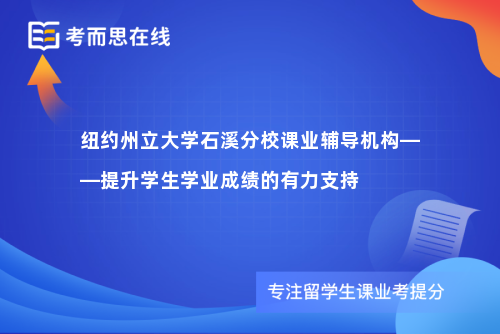 纽约州立大学石溪分校课业辅导机构——提升学生学业成绩的有力支持