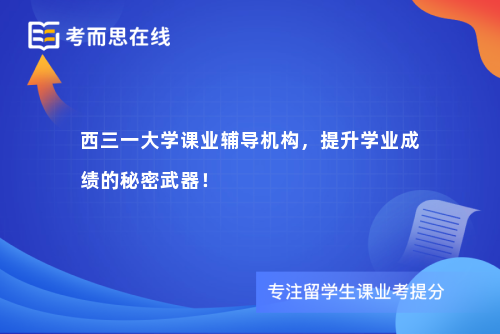 西三一大学课业辅导机构，提升学业成绩的秘密武器！