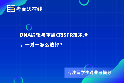 DNA编辑与重组CRISPR技术培训一对一怎么选择？