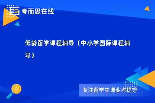 低龄留学课程辅导（中小学国际课程辅导）