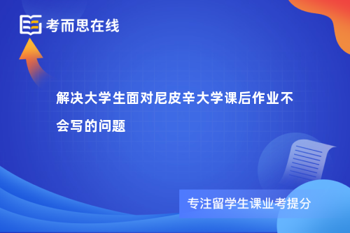 解决大学生面对尼皮辛大学课后作业不会写的问题