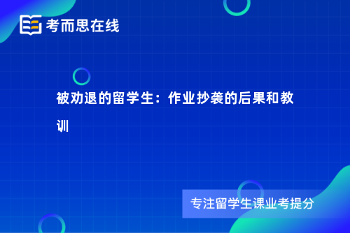 被劝退的留学生：作业抄袭的后果和教训