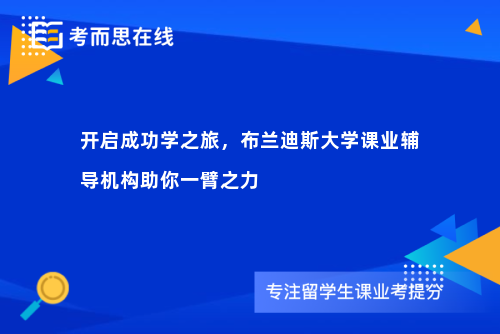 开启成功学之旅，布兰迪斯大学课业辅导机构助你一臂之力