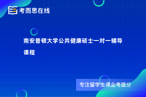 南安普顿大学公共健康硕士一对一辅导课程