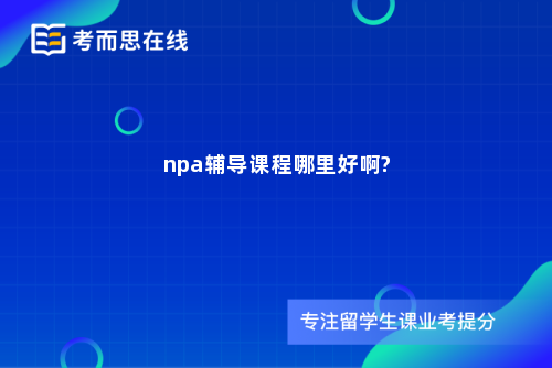 npa辅导课程哪里好啊?