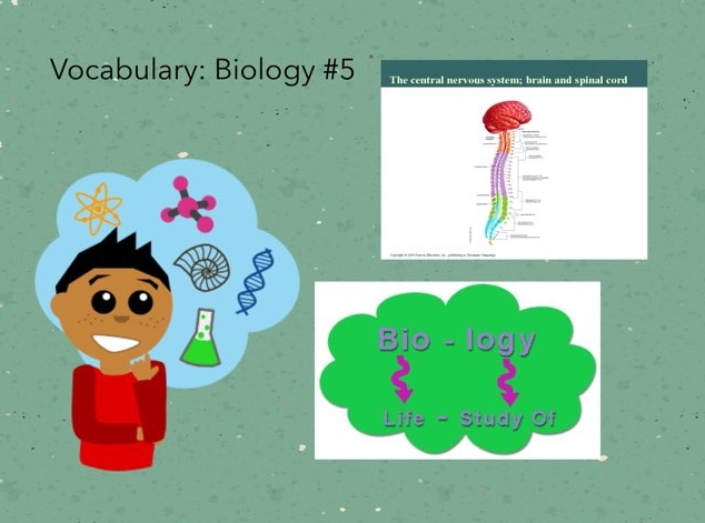 A-level生物学考试常用词汇